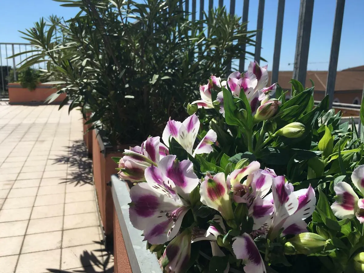 *** Bed & Breakfast B&B Colombo Pisa Italien